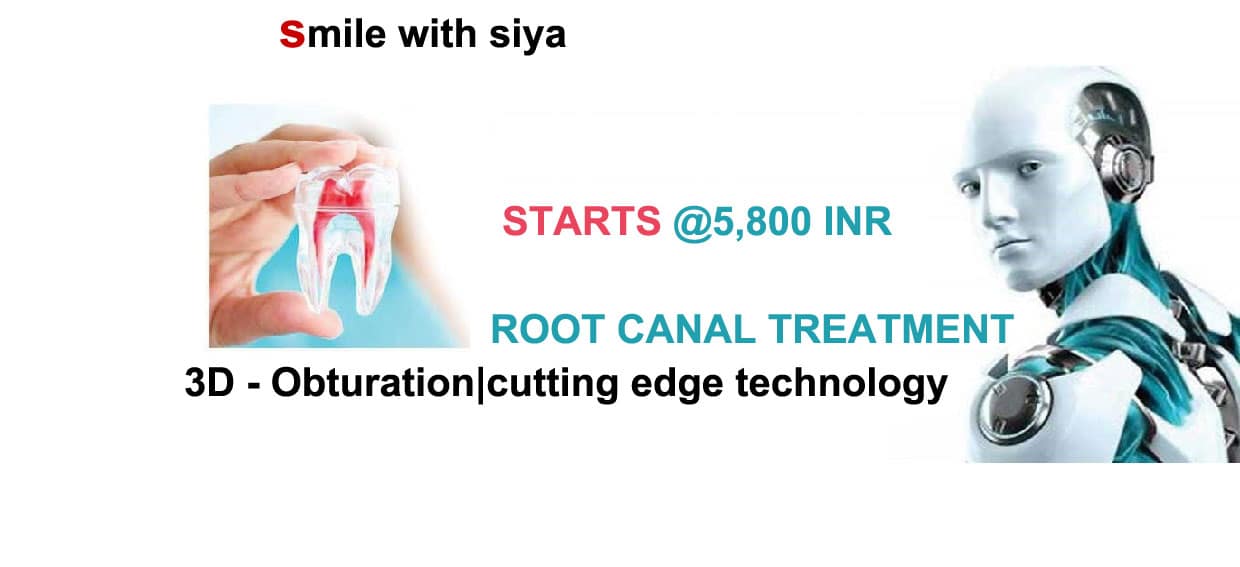 2 1 1240x567 2 1 1240x567