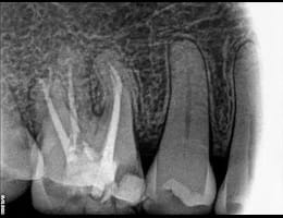 2024 05 29 (1) 2024 05 29 (1)