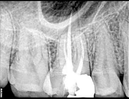 2024 05 29 (2) 2024 05 29 (2)