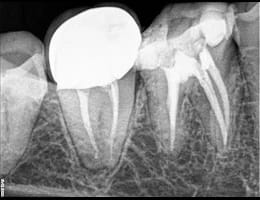 2024 05 29 (3) 2024 05 29 (3)