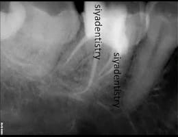 2024 05 29 (4) 2024 05 29 (4)