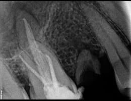 2024 05 29 (5) 2024 05 29 (5)