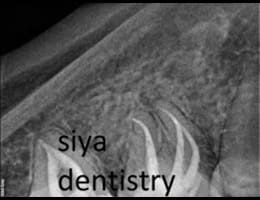 2024 05 29 (6) 2024 05 29 (6)