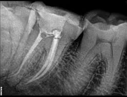 2024 06 08 2024 06 08